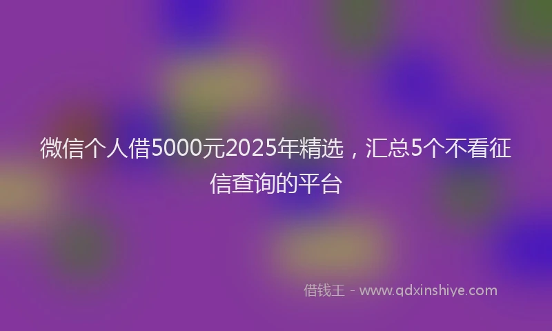 微信个人借5000元2025年精选，汇总5个不看征信查询的平台