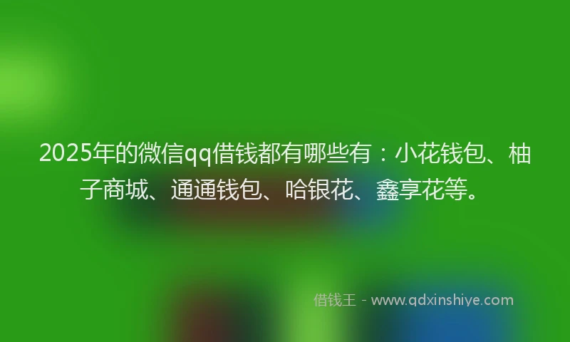 2025年的微信qq借钱都有哪些有：小花钱包、柚子商城、通通钱包、哈银花、鑫享花等。