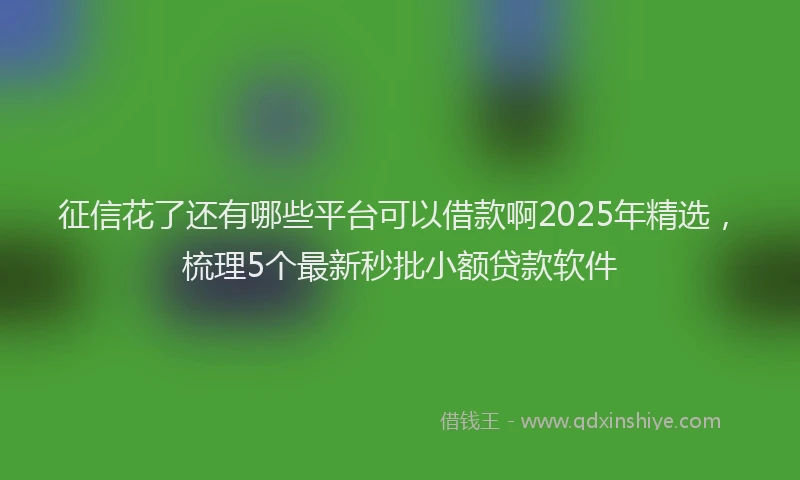 征信花了还有哪些平台可以借款啊2025年精选，梳理5个最新秒批小额贷款软件