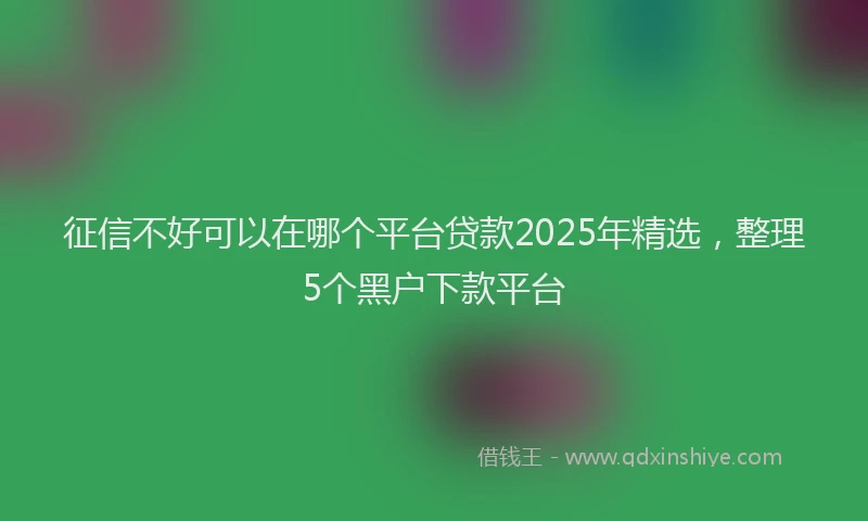 征信不好可以在哪个平台贷款2025年精选，整理5个黑户下款平台