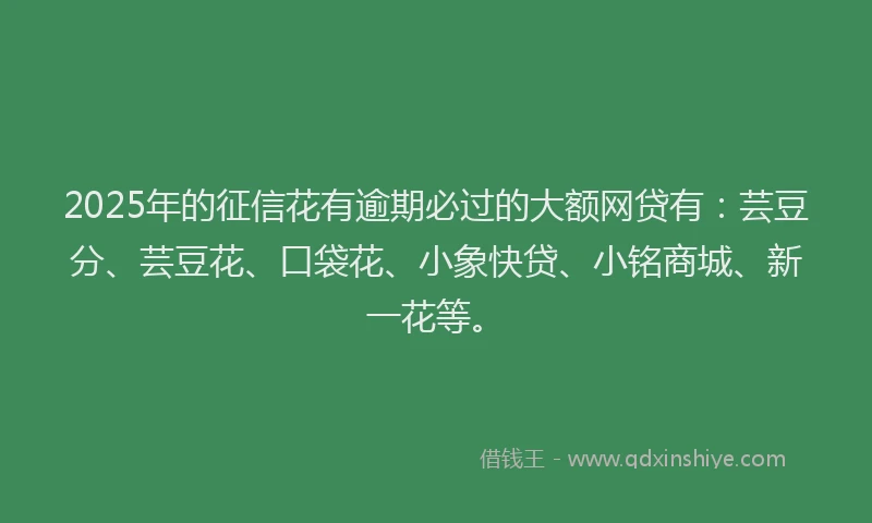 2025年的征信花有逾期必过的大额网贷有：芸豆分、芸豆花、口袋花、小象快贷、小铭商城、新一花等。