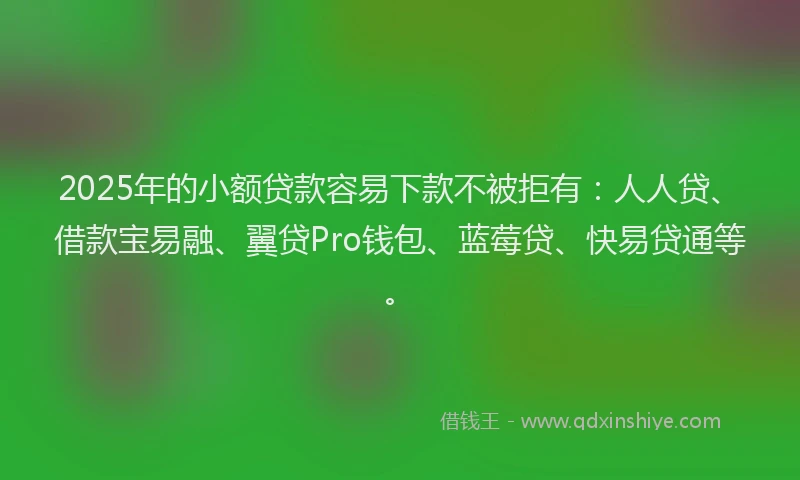 2025年的小额贷款容易下款不被拒有：人人贷、借款宝易融、翼贷Pro钱包、蓝莓贷、快易贷通等。