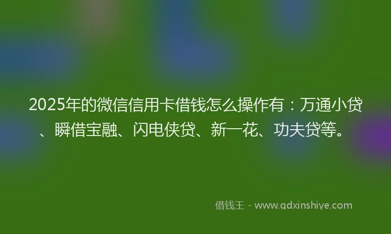 2025年的微信信用卡借钱怎么操作有：万通小贷、瞬借宝融、闪电侠贷、新一花、功夫贷等。