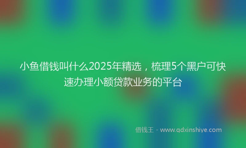 小鱼借钱叫什么2025年精选，梳理5个黑户可快速办理小额贷款业务的平台