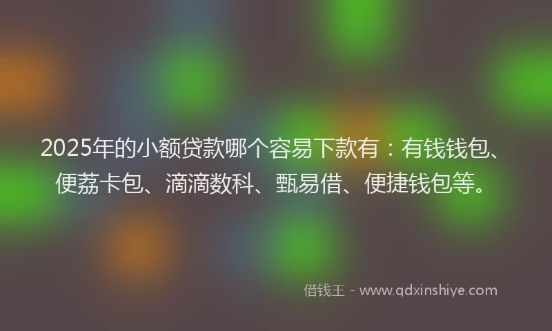 2025年的小额贷款哪个容易下款有：有钱钱包、便荔卡包、滴滴数科、甄易借、便捷钱包等。