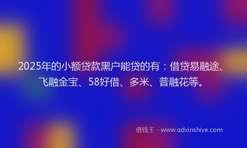 2025年的小额贷款黑户能贷的有：借贷易融途、飞融金宝、58好借、多米、普融花等。