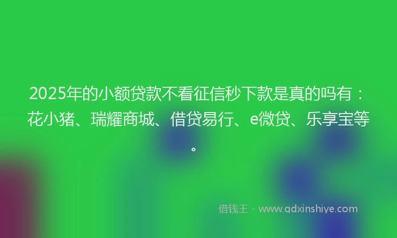 2025年的小额贷款不看征信秒下款是真的吗有：花小猪、瑞耀商城、借贷易行、e微贷、乐享宝等。