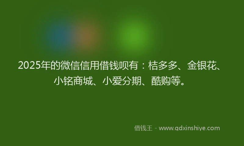2025年的微信信用借钱呗有：桔多多、金银花、小铭商城、小爱分期、酷购等。