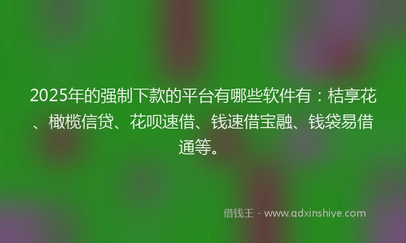 2025年的强制下款的平台有哪些软件有：桔享花、橄榄信贷、花呗速借、钱速借宝融、钱袋易借通等。