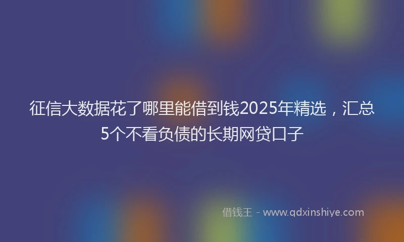 征信大数据花了哪里能借到钱2025年精选，汇总5个不看负债的长期网贷口子