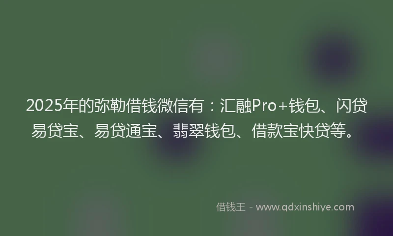 2025年的弥勒借钱微信有：汇融Pro+钱包、闪贷易贷宝、易贷通宝、翡翠钱包、借款宝快贷等。