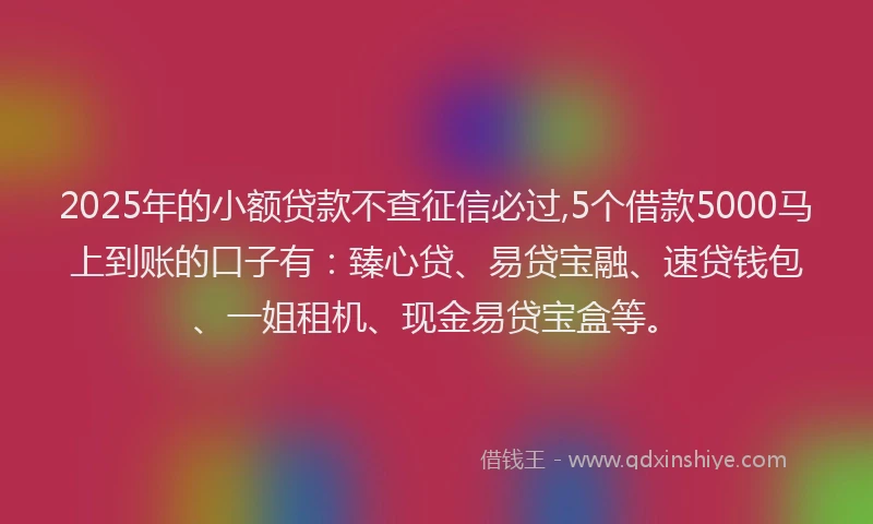 2025年的小额贷款不查征信必过,5个借款5000马上到账的口子有：臻心贷、易贷宝融、速贷钱包、一姐租机、现金易贷宝盒等。