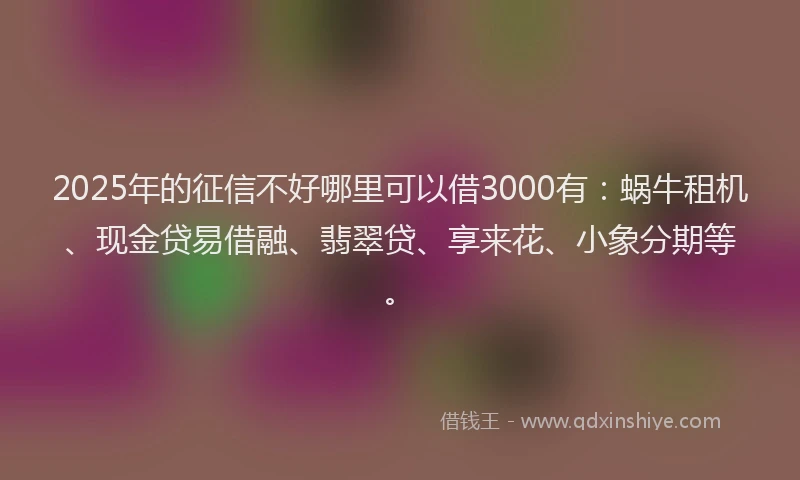2025年的征信不好哪里可以借3000有：蜗牛租机、现金贷易借融、翡翠贷、享来花、小象分期等。