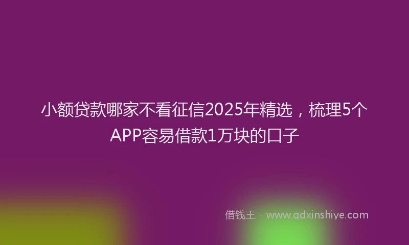 小额贷款哪家不看征信2025年精选，梳理5个APP容易借款1万块的口子