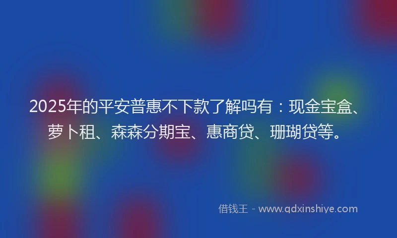2025年的平安普惠不下款了解吗有：现金宝盒、萝卜租、森森分期宝、惠商贷、珊瑚贷等。