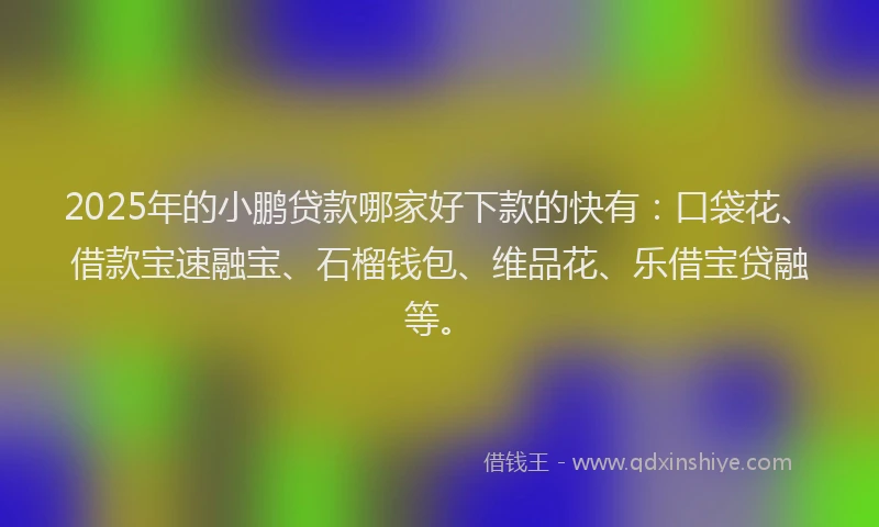 2025年的小鹏贷款哪家好下款的快有：口袋花、借款宝速融宝、石榴钱包、维品花、乐借宝贷融等。