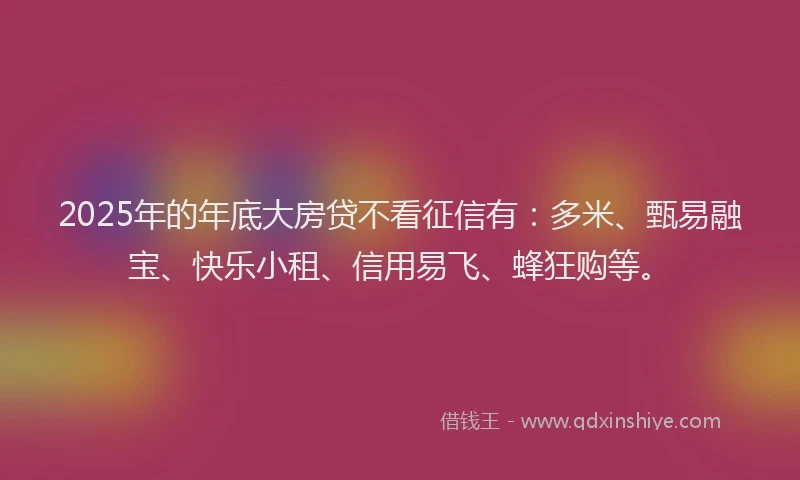 2025年的年底大房贷不看征信有：多米、甄易融宝、快乐小租、信用易飞、蜂狂购等。