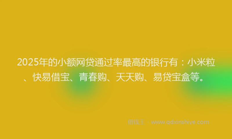 2025年的小额网贷通过率最高的银行有：小米粒、快易借宝、青春购、天天购、易贷宝盒等。