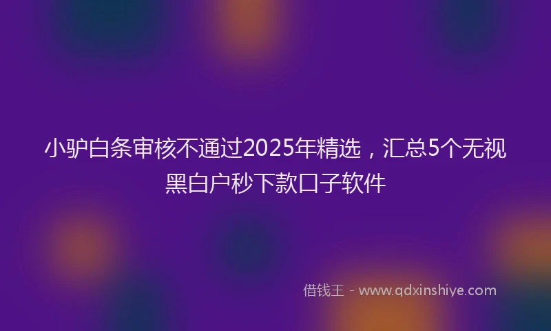 小驴白条审核不通过2025年精选，汇总5个无视黑白户秒下款口子软件