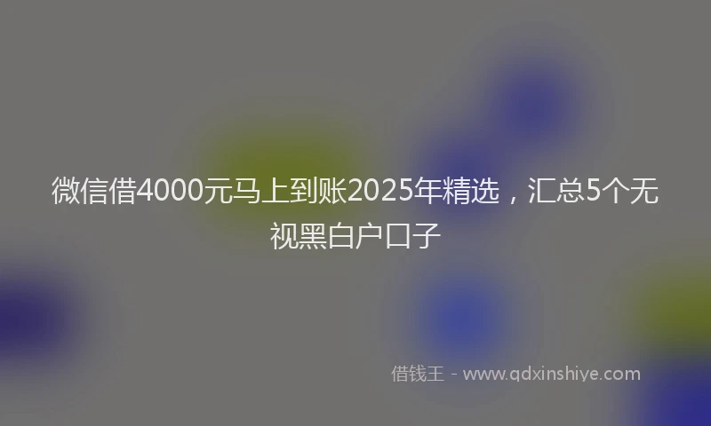 微信借4000元马上到账2025年精选，汇总5个无视黑白户口子
