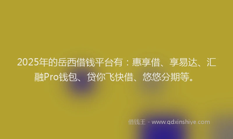2025年的岳西借钱平台有：惠享借、享易达、汇融Pro钱包、贷你飞快借、悠悠分期等。