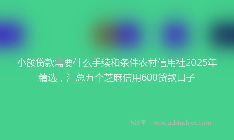 小额贷款需要什么手续和条件农村信用社2025年精选，汇总五个芝麻信用600贷款口子