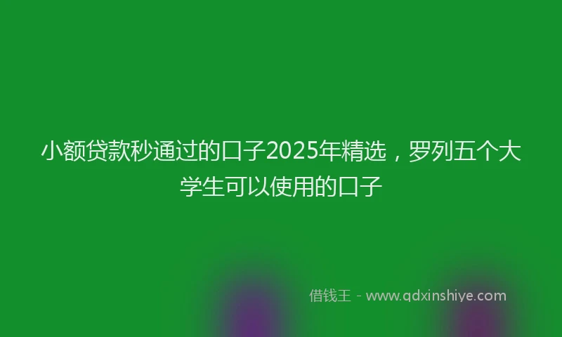 小额贷款秒通过的口子2025年精选，罗列五个大学生可以使用的口子