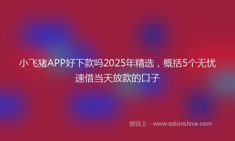 小飞猪APP好下款吗2025年精选，概括5个无忧速借当天放款的口子