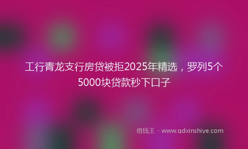 工行青龙支行房贷被拒2025年精选，罗列5个5000块贷款秒下口子