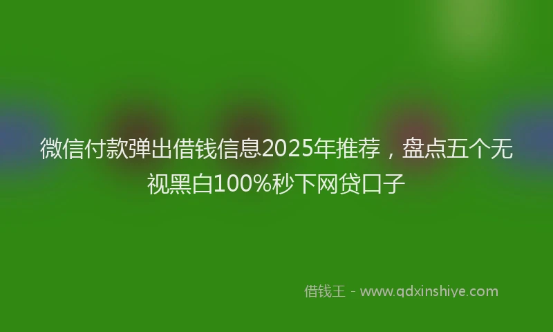 微信付款弹出借钱信息2025年推荐，盘点五个无视黑白100%秒下网贷口子