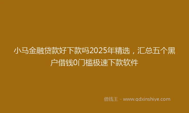 小马金融贷款好下款吗2025年精选，汇总五个黑户借钱0门槛极速下款软件