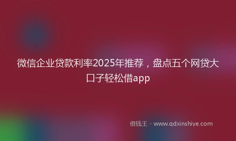 微信企业贷款利率2025年推荐，盘点五个网贷大口子轻松借app