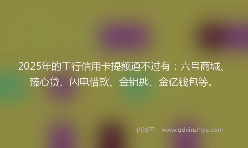 2025年的工行信用卡提额通不过有：六号商城、臻心贷、闪电借款、金钥匙、金亿钱包等。