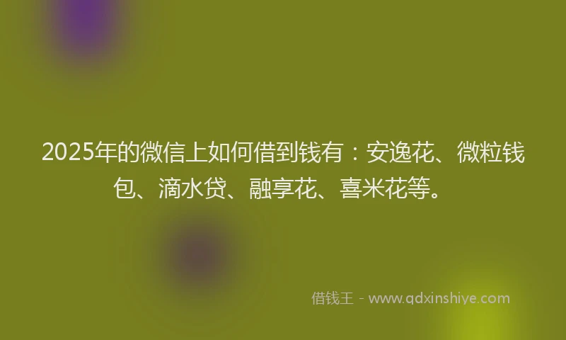 2025年的微信上如何借到钱有：安逸花、微粒钱包、滴水贷、融享花、喜米花等。