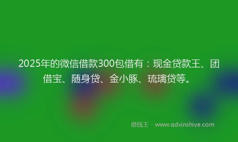 2025年的微信借款300包借有：现金贷款王、团借宝、随身贷、金小豚、琉璃贷等。