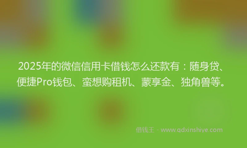2025年的微信信用卡借钱怎么还款有：随身贷、便捷Pro钱包、蛮想购租机、蒙享金、独角兽等。