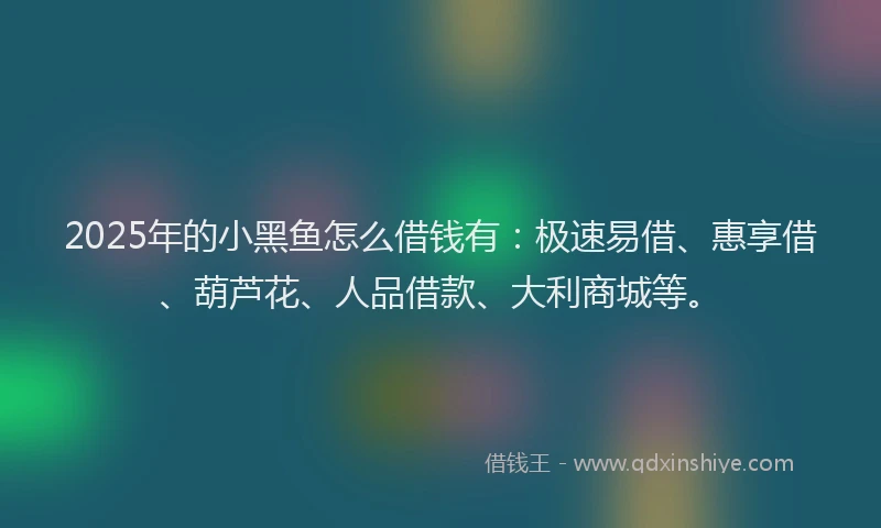 2025年的小黑鱼怎么借钱有：极速易借、惠享借、葫芦花、人品借款、大利商城等。