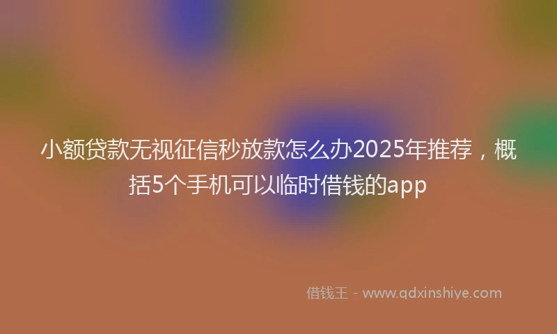 小额贷款无视征信秒放款怎么办2025年推荐，概括5个手机可以临时借钱的app