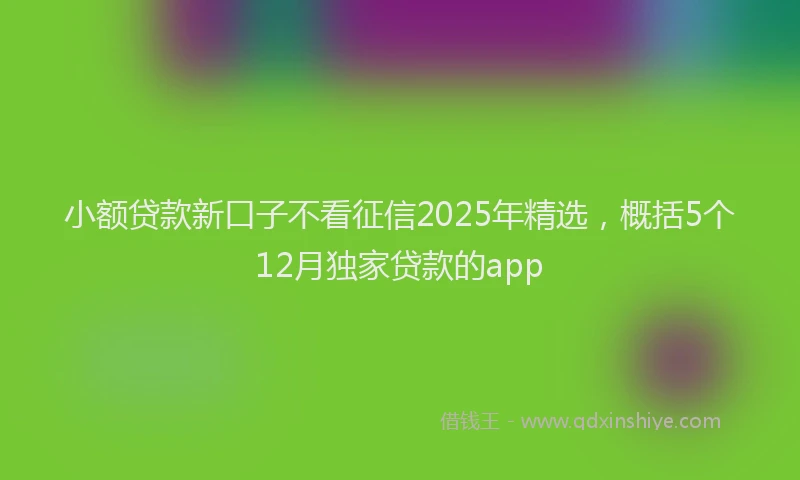 小额贷款新口子不看征信2025年精选，概括5个12月独家贷款的app
