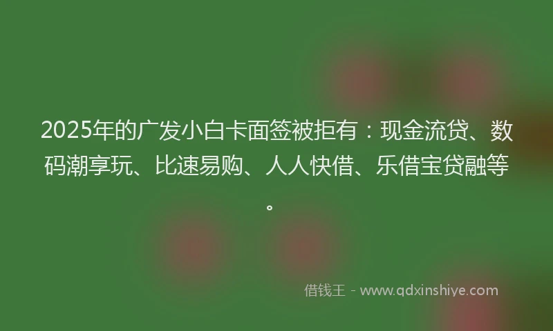 2025年的广发小白卡面签被拒有：现金流贷、数码潮享玩、比速易购、人人快借、乐借宝贷融等。