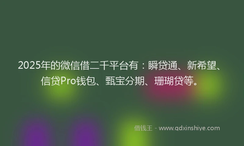 2025年的微信借二千平台有：瞬贷通、新希望、信贷Pro钱包、甄宝分期、珊瑚贷等。