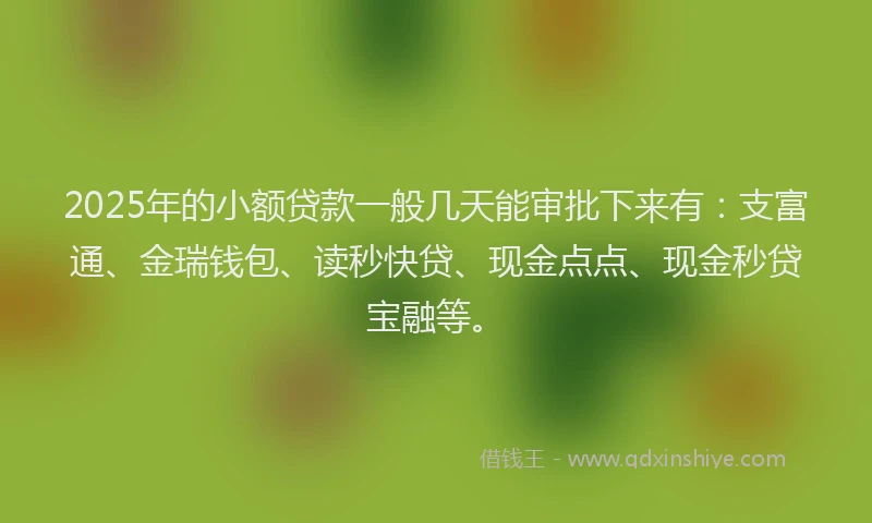 2025年的小额贷款一般几天能审批下来有：支富通、金瑞钱包、读秒快贷、现金点点、现金秒贷宝融等。