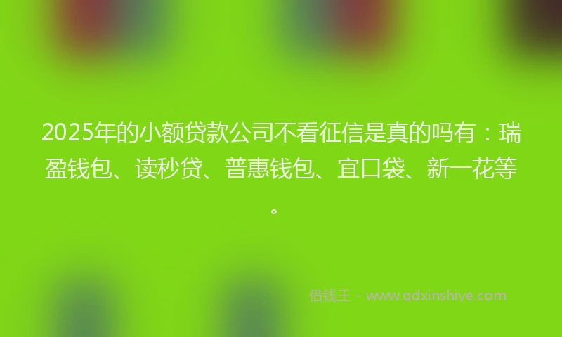 2025年的小额贷款公司不看征信是真的吗有：瑞盈钱包、读秒贷、普惠钱包、宜口袋、新一花等。