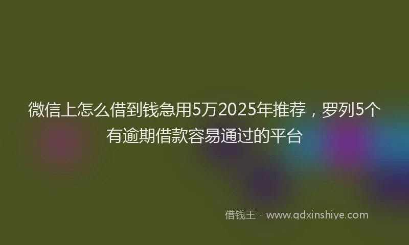 微信上怎么借到钱急用5万2025年推荐，罗列5个有逾期借款容易通过的平台