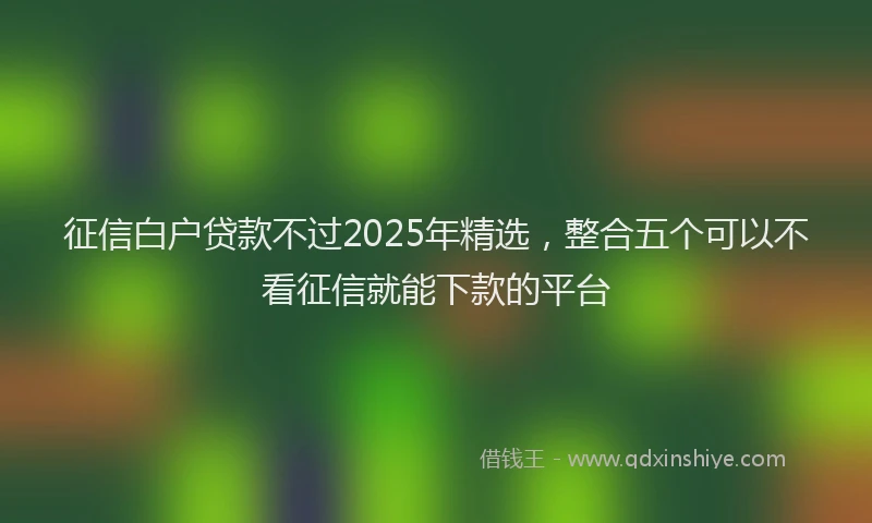 征信白户贷款不过2025年精选，整合五个可以不看征信就能下款的平台