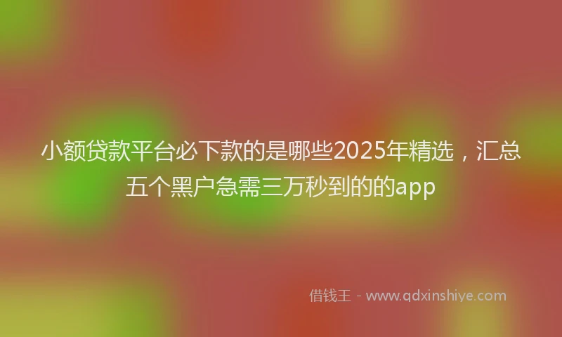 小额贷款平台必下款的是哪些2025年精选，汇总五个黑户急需三万秒到的的app