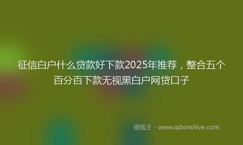 征信白户什么贷款好下款2025年推荐，整合五个百分百下款无视黑白户网贷口子