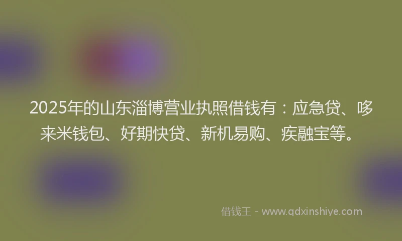 2025年的山东淄博营业执照借钱有：应急贷、哆来米钱包、好期快贷、新机易购、疾融宝等。