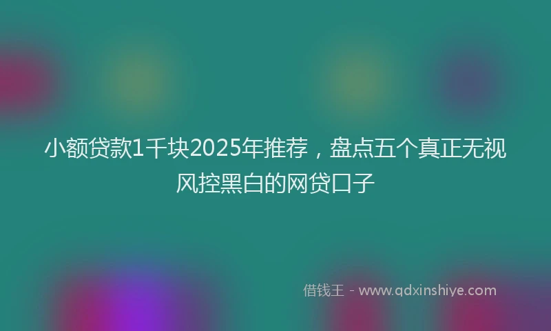 小额贷款1千块2025年推荐，盘点五个真正无视风控黑白的网贷口子