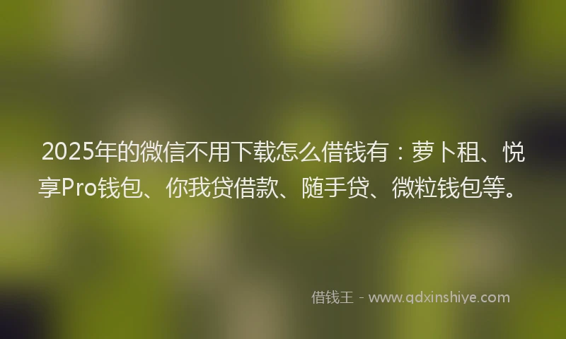 2025年的微信不用下载怎么借钱有：萝卜租、悦享Pro钱包、你我贷借款、随手贷、微粒钱包等。